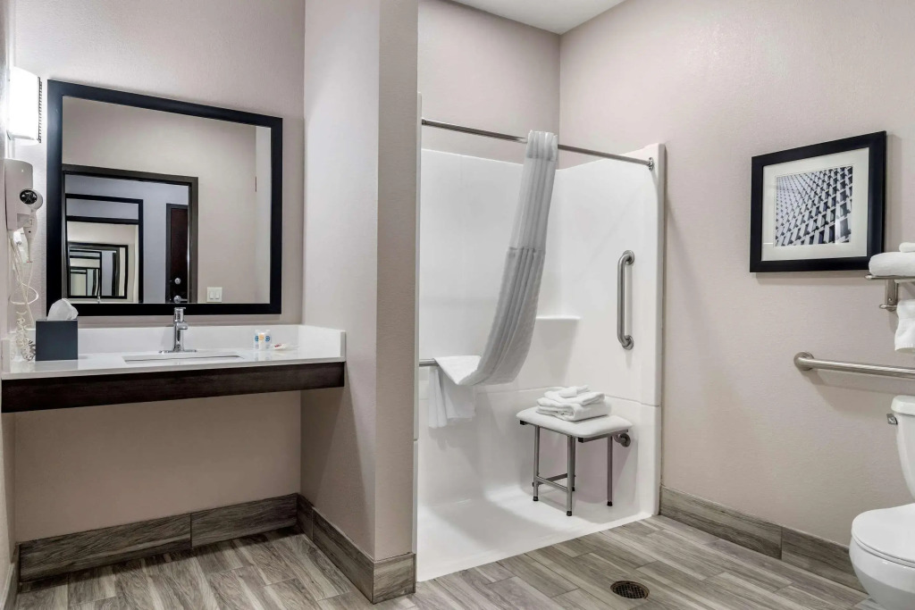 Comfort Suites McDonough Atlanta South