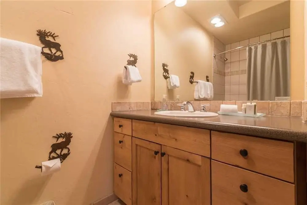 2101 Timberline Lodge, Trappeur's Crossing Apartment 2