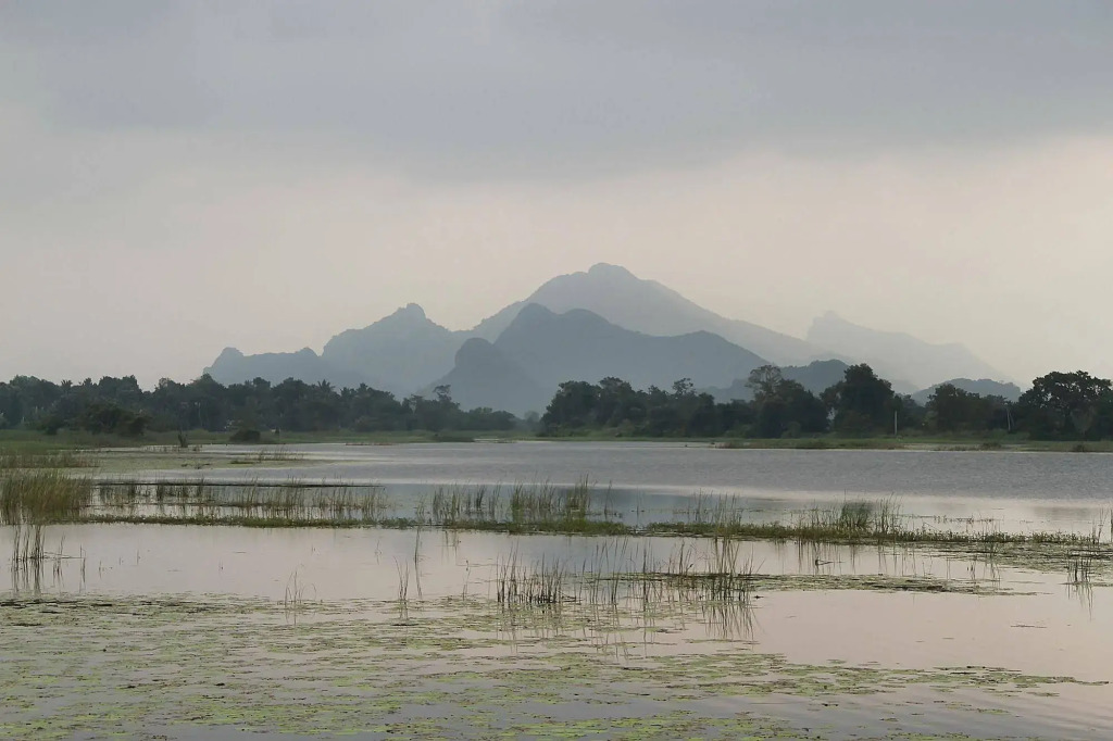 Sigiriya Wewa Addara Hotel - Hotel By The Lake