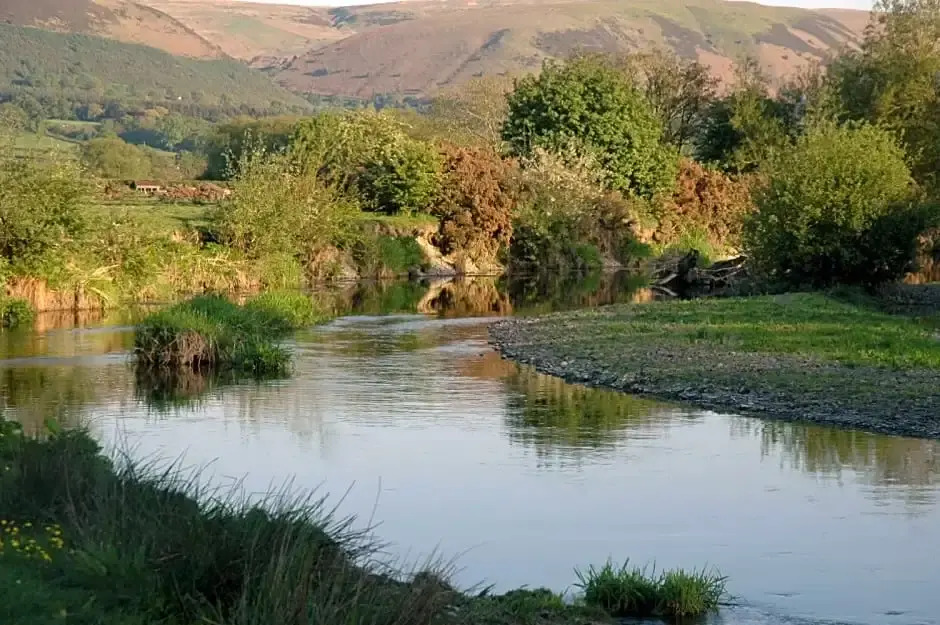 Mid Wales Arts B&B
