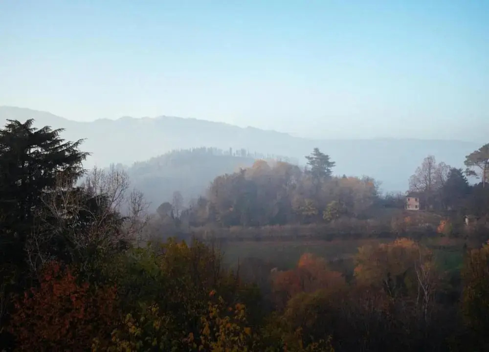 Modern Farmhouse in Pagnano Italy near Forest