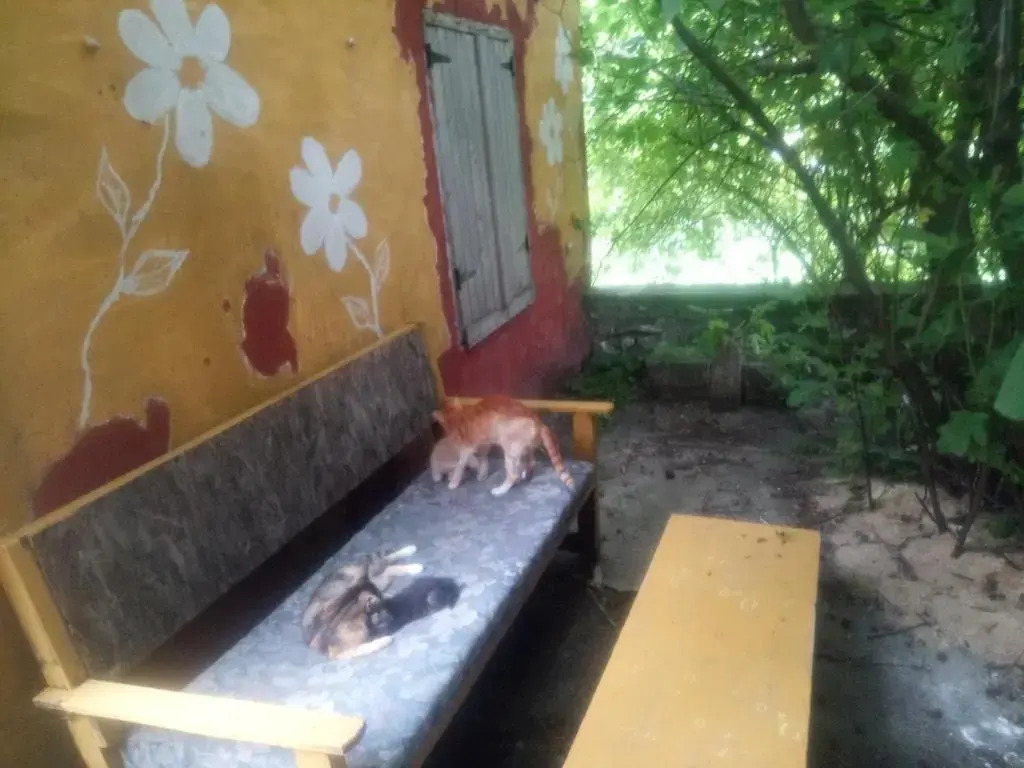 Hostel Musafir