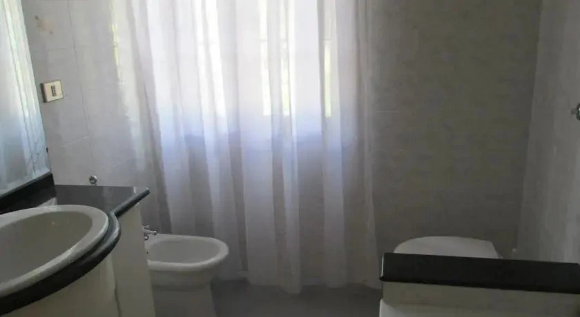 B&B Alvi