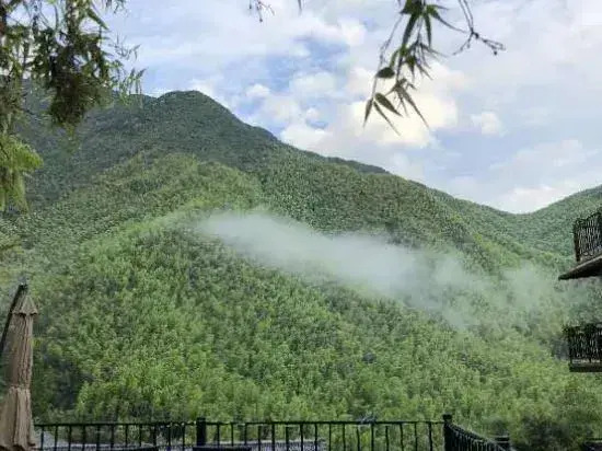 Anji Yinshang Landscape Homestay