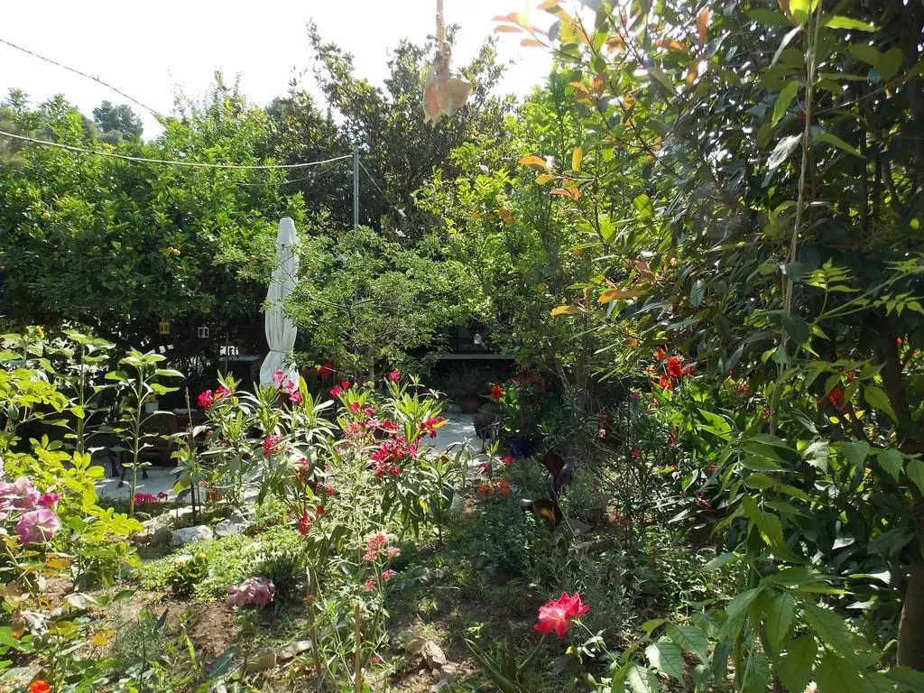 Stamatias Garden