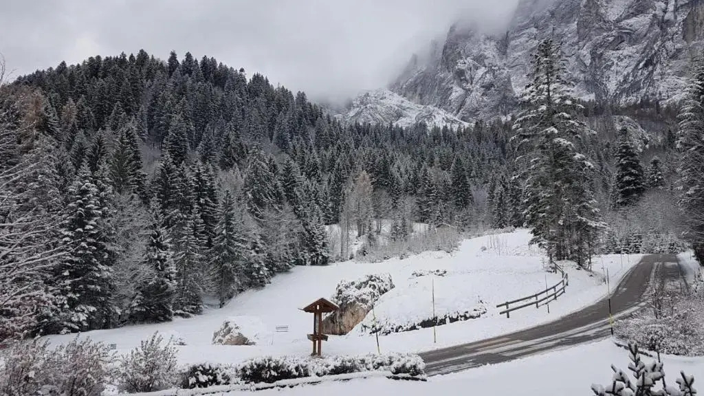 Chalet Giasenei