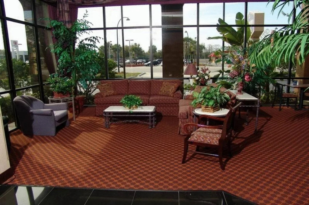 Orlando Palms