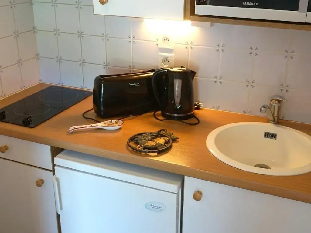 Appartement Bagnères-de-Luchon, 2 pièces, 4 personnes - FR-1-313-127