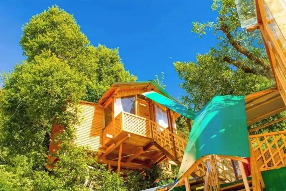 Manali Treehouse And Cafe