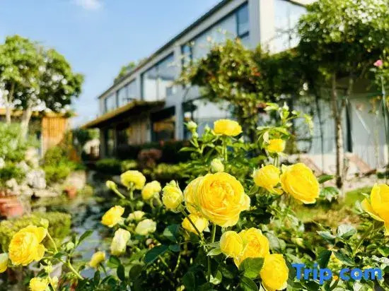 Yuexi Bieyuan Luxury Lodge (Wuhu)