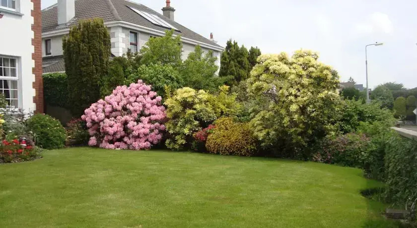 Knockmoy House B&B