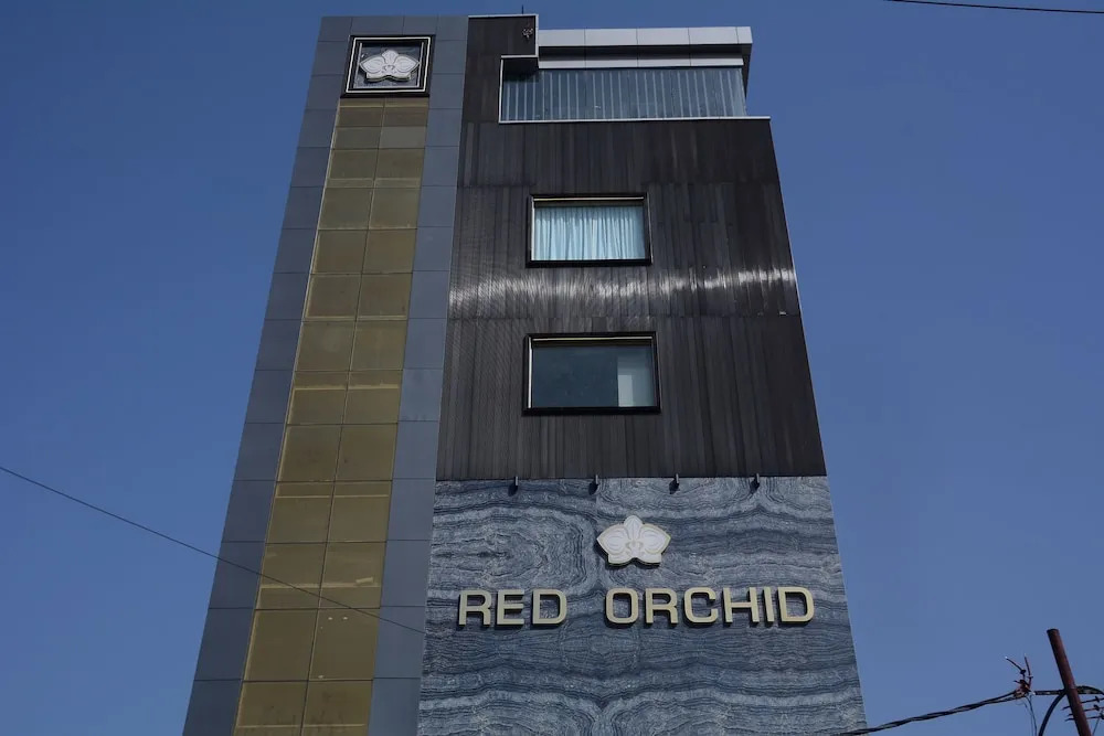 Red Orchid