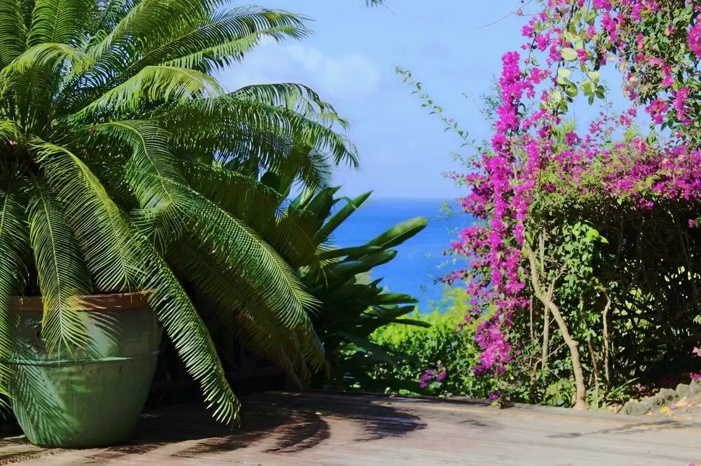 Villa Pomme d'Amour