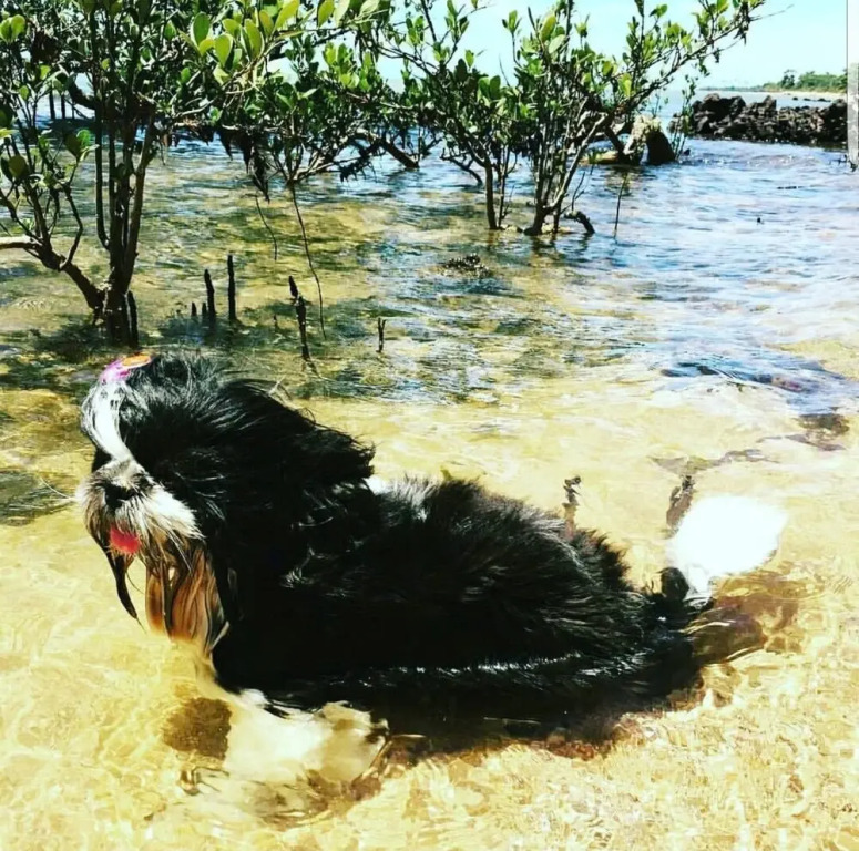 Pouso da Pardoca