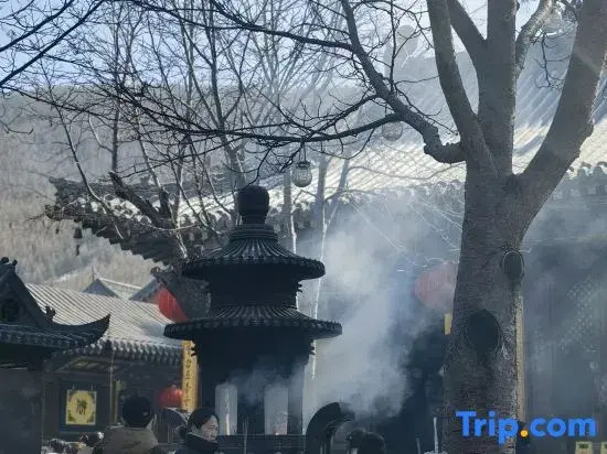 Wutaishan Ledu Tea House