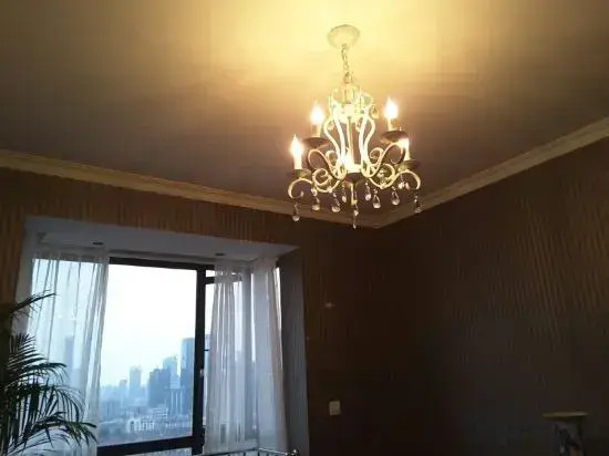 Palm Tree Apartment
