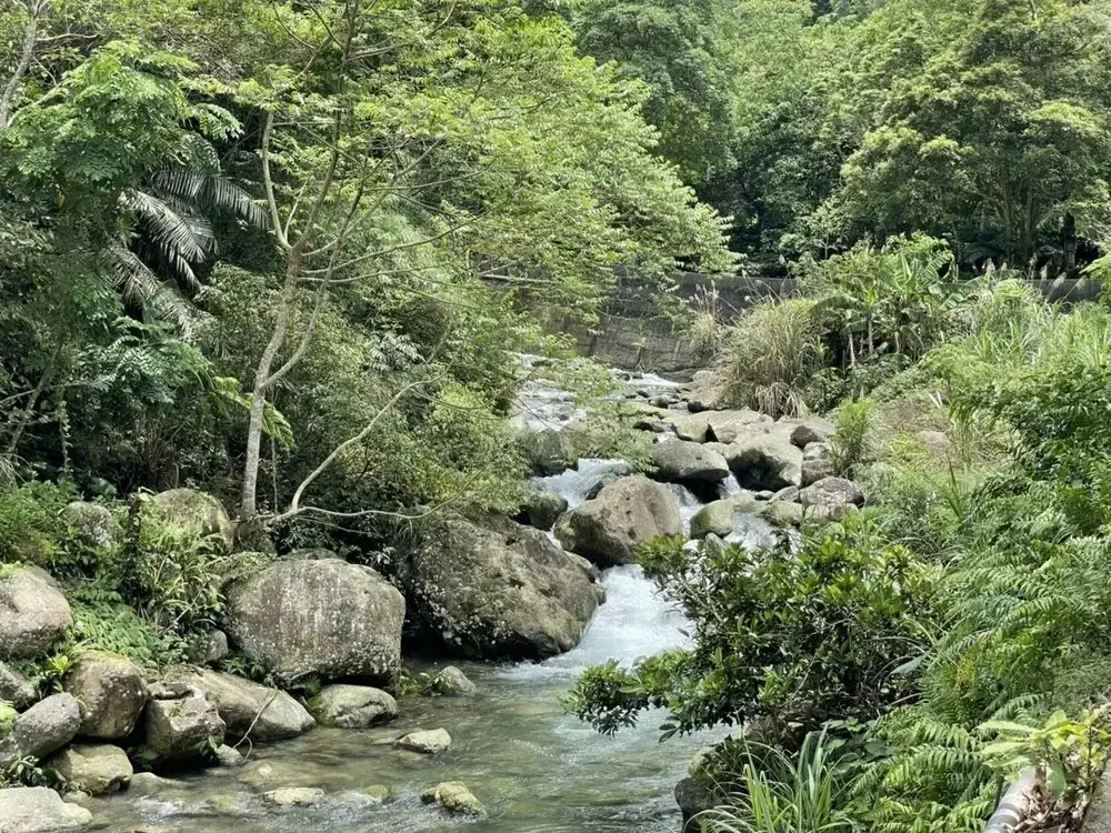 Nanyang62