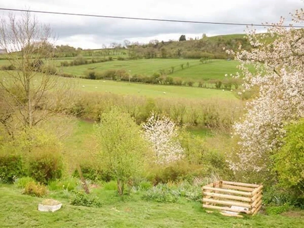 Coed Y Gaer