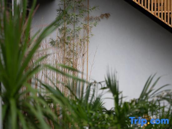 ZhuYe Guesthouse