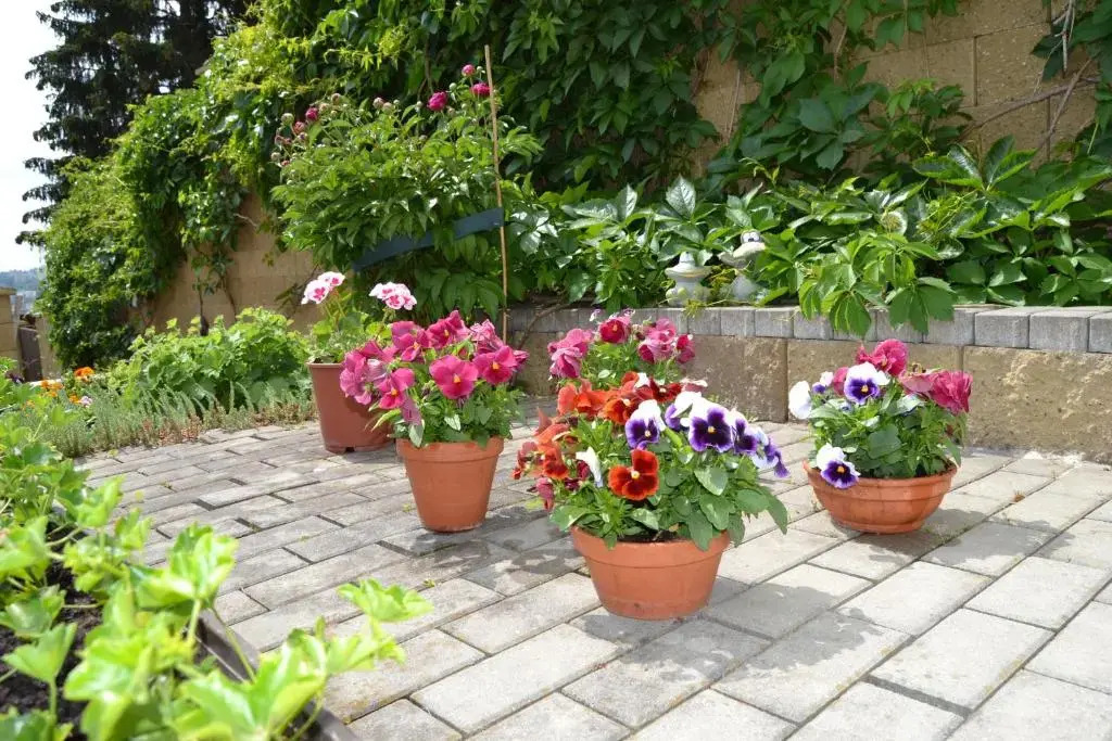 Pension Nika