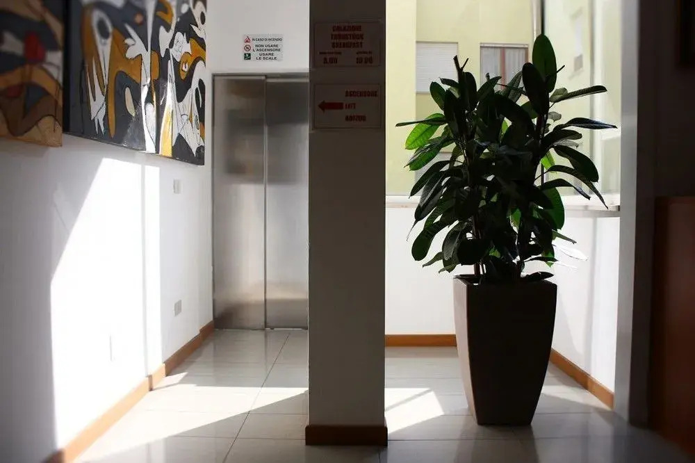 Hotel Meublè Zenith