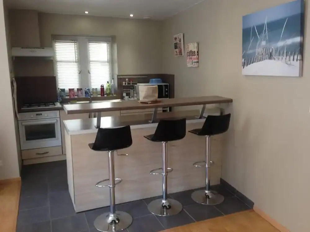 Appartement Plein Centre la Bulliere