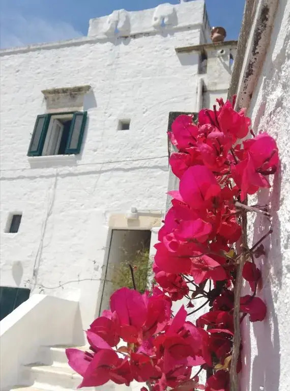 Masseria Semerano appartamento 2