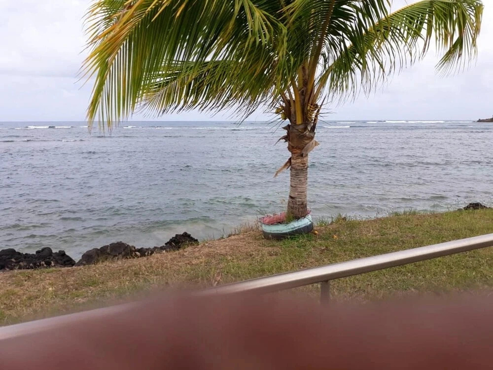 Studio in la Trinité, with Enclosed Garden - 200M From the Beach