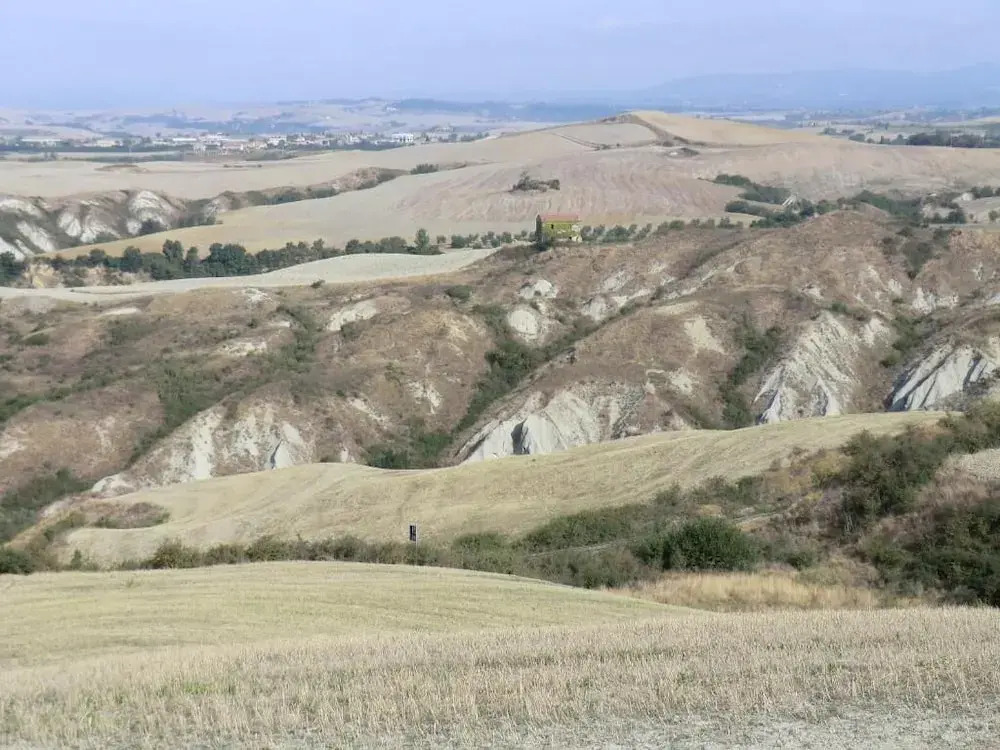 Azienda Agricola Podernuovo