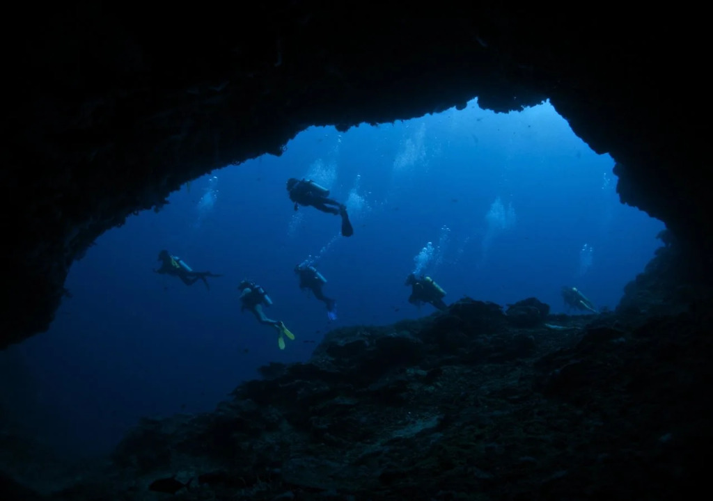 Liquid Dive Resort