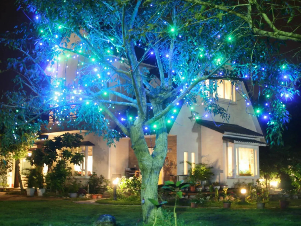 Yishin Garden B&B
