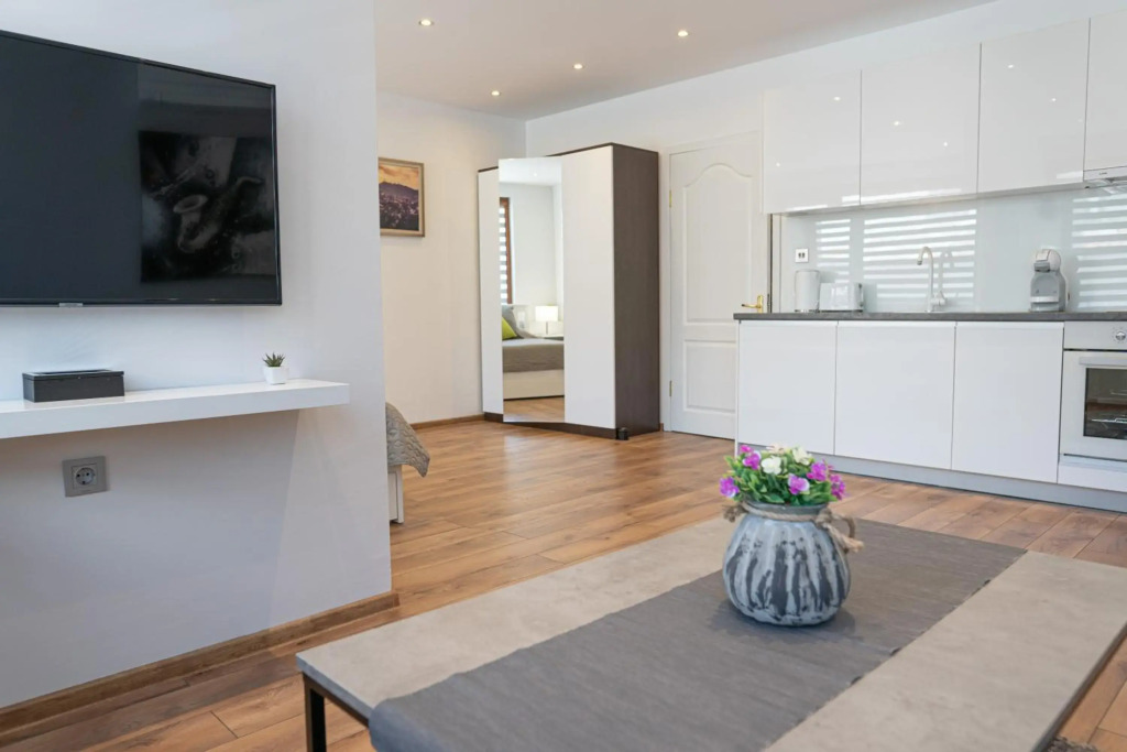 Shushi's Central Studio Apartment