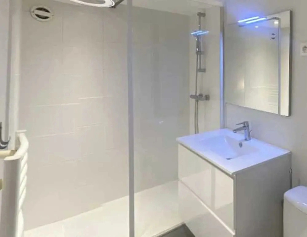 Private Room in a Shared Apartment - Lyon 2nd