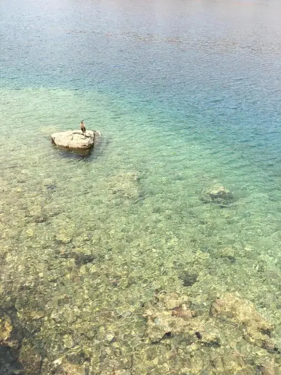 Symi . VILLA CALME