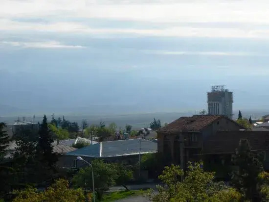 Hotel Neli Telavi