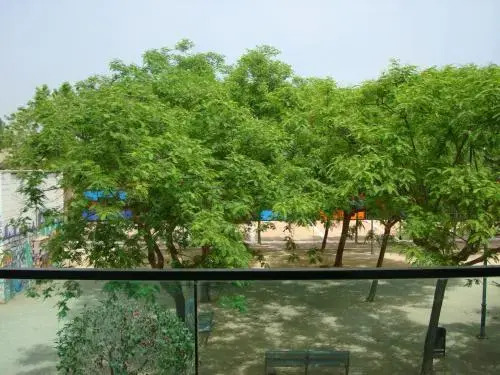 Palamós Apartamentos