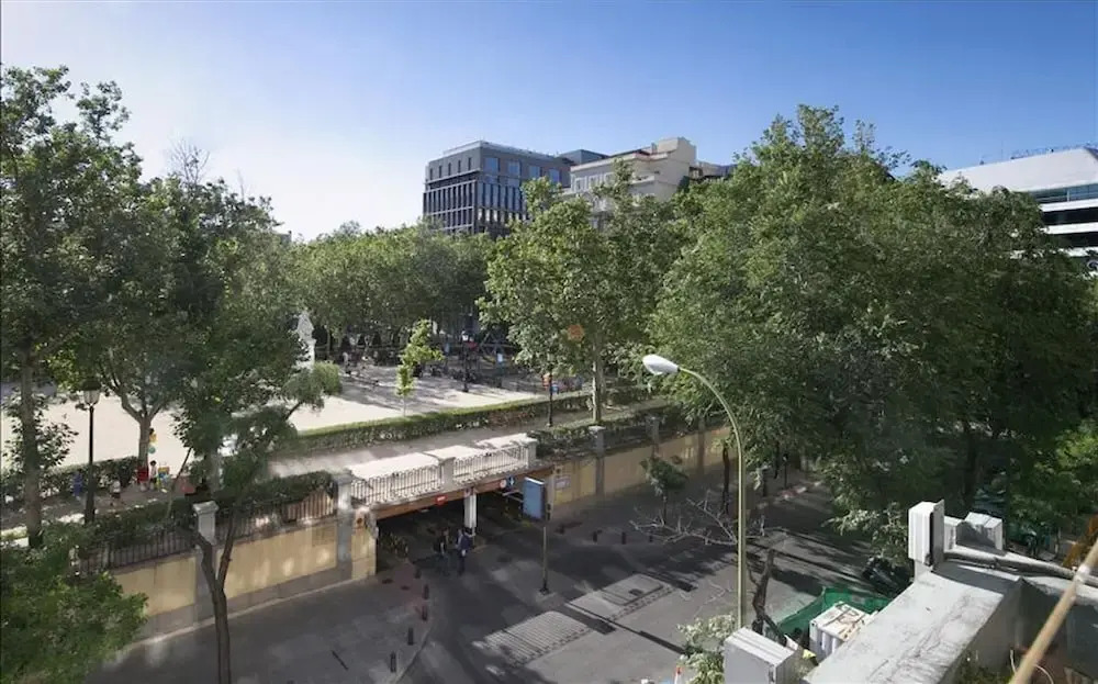 Colon 901 in Madrid With 1 Bedrooms and 1 Bathrooms