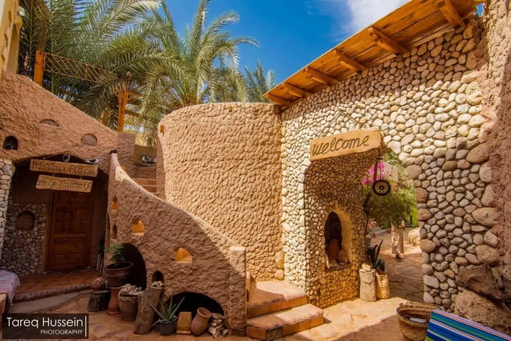 Dream Lodge Siwa دريم لودج سيوة