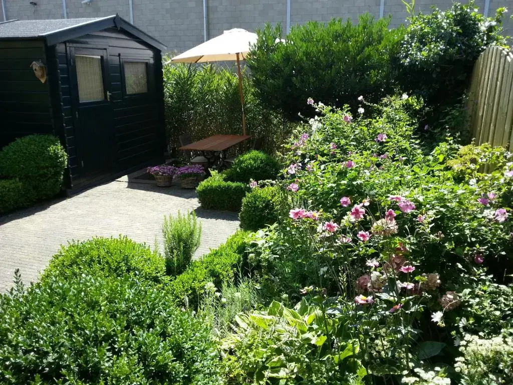 Bed & Breakfast Frans Hals Haarlem