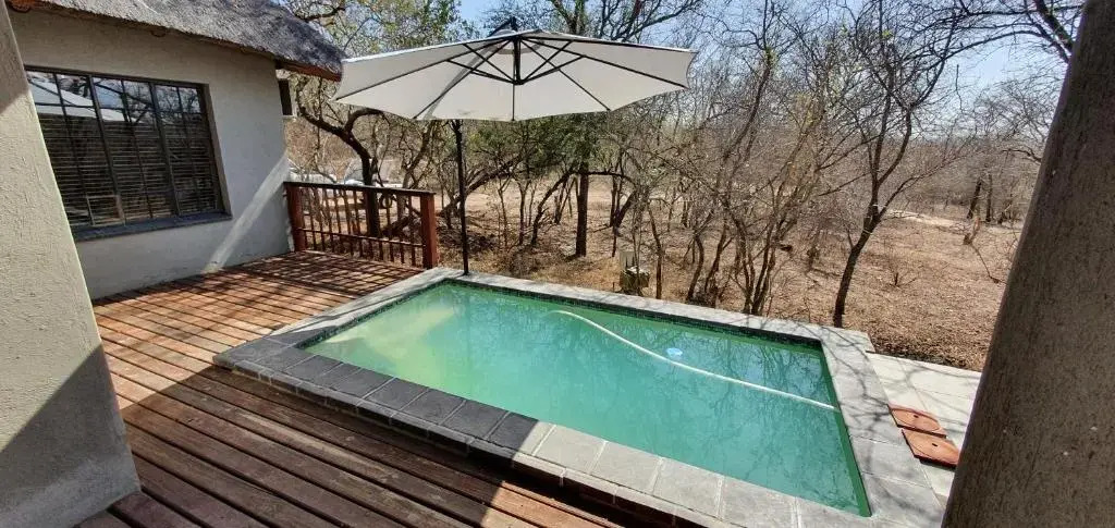 Leap in2 Africa