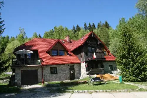 Czajka