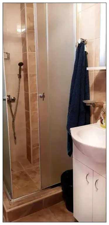 Dobricin konak, Apartman 202