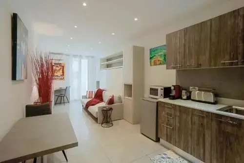 studio b 350m de la mer et promenade des anglais