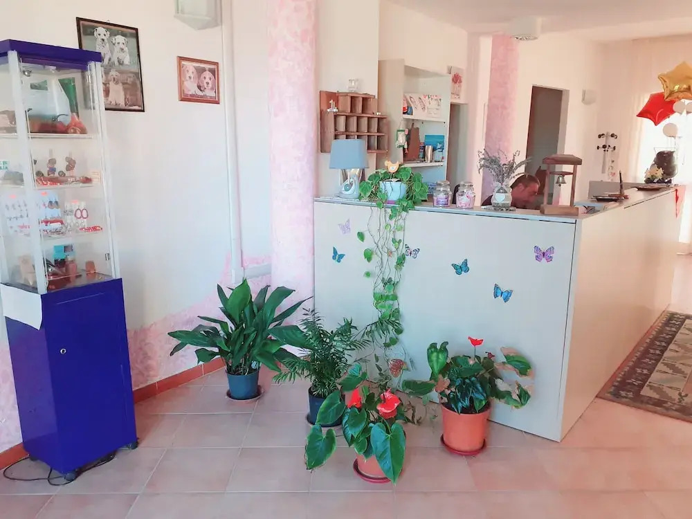 Hotel Bena e Traes