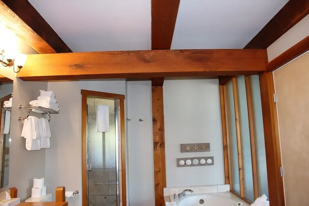 Safe Harbour Suite