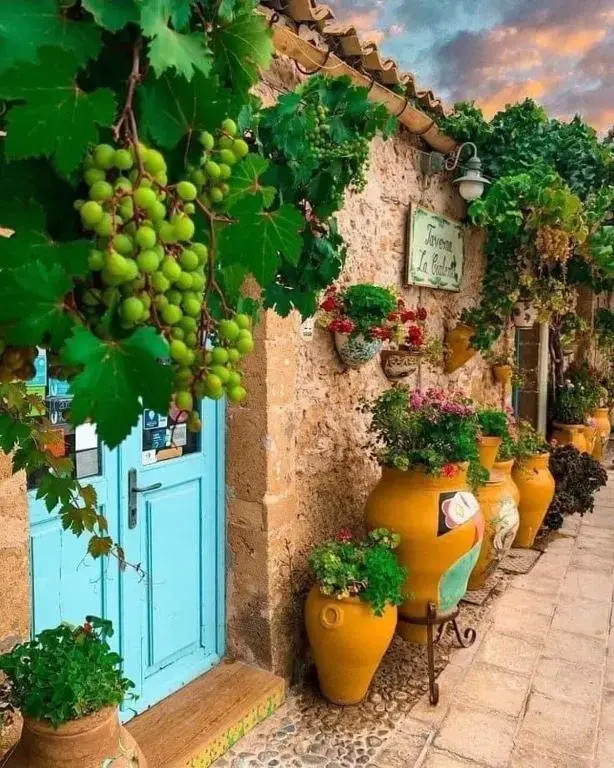La Casa dei Gemelli 1