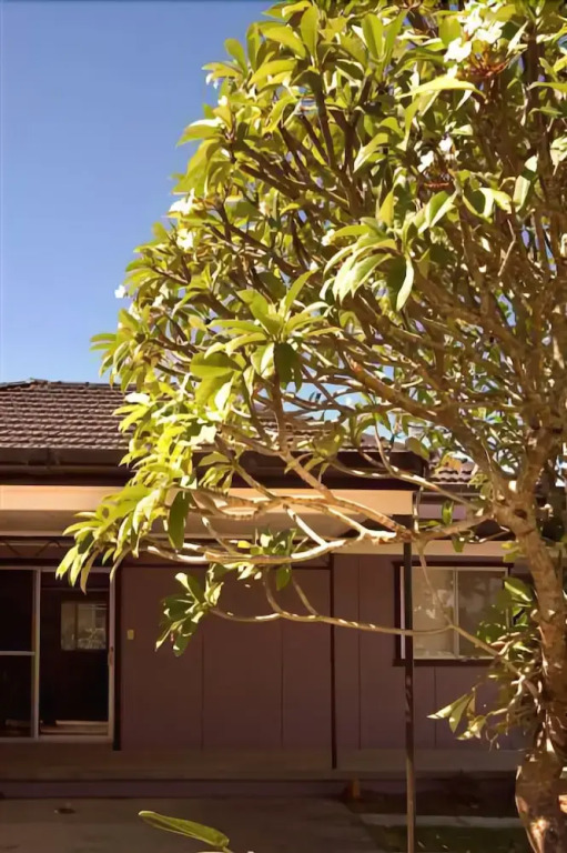 Shirley Street Beachhouses