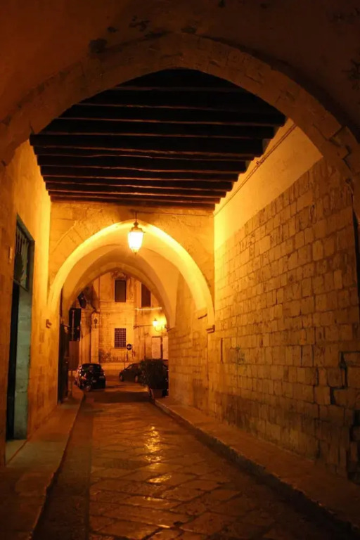 Domatia