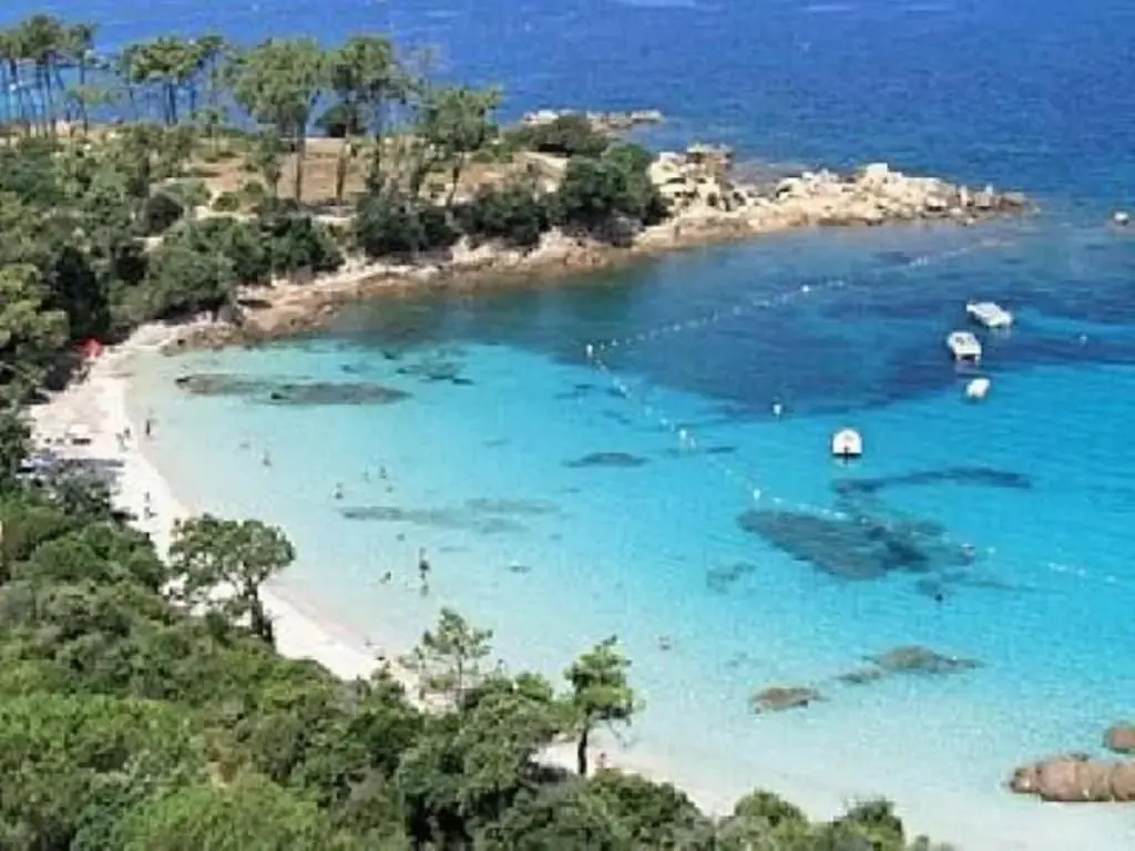 T2 Porticcio Agosta Plage 100m de la Plage