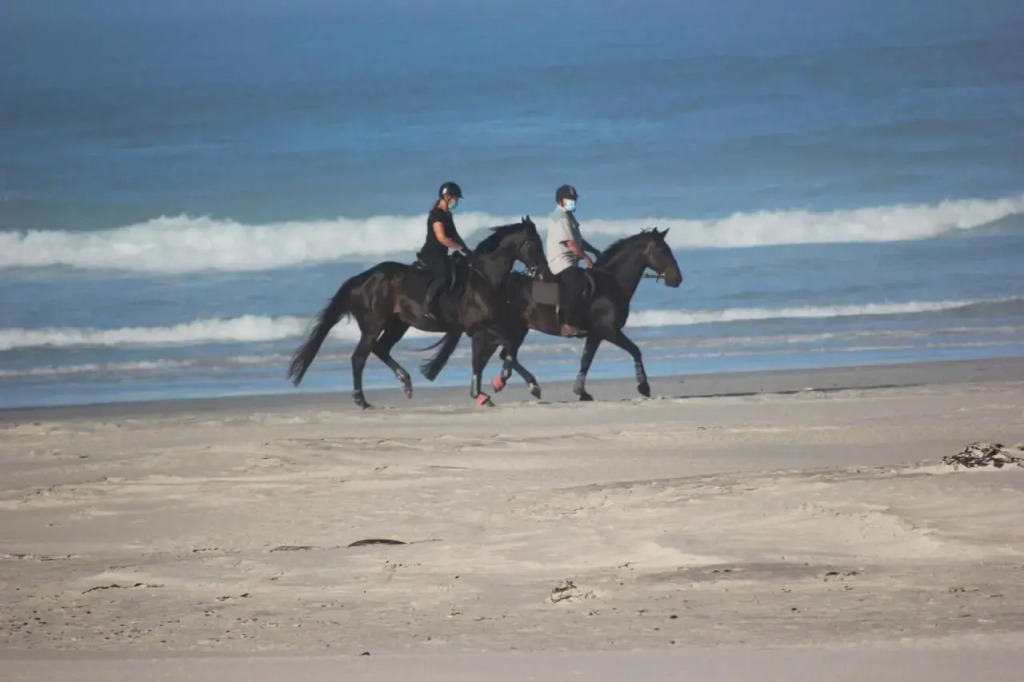 14 Penguin Place, Melkbosstrand